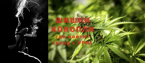 сатива Покров