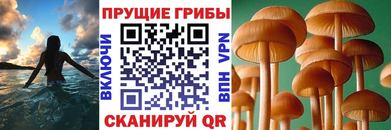 Псилоцибиновые грибы ЛСД  Кулебаки 